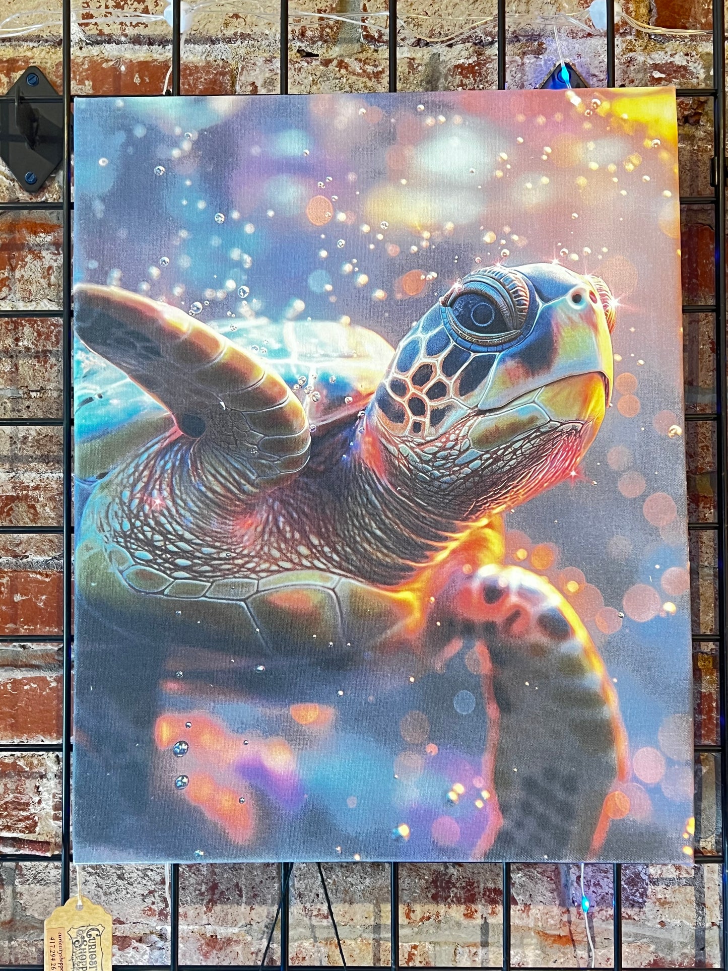 Water Turtle Canvas Print 16x20