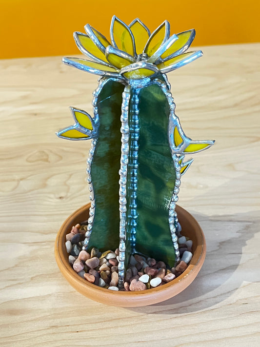 Tall Cactus with Yellow Flowers