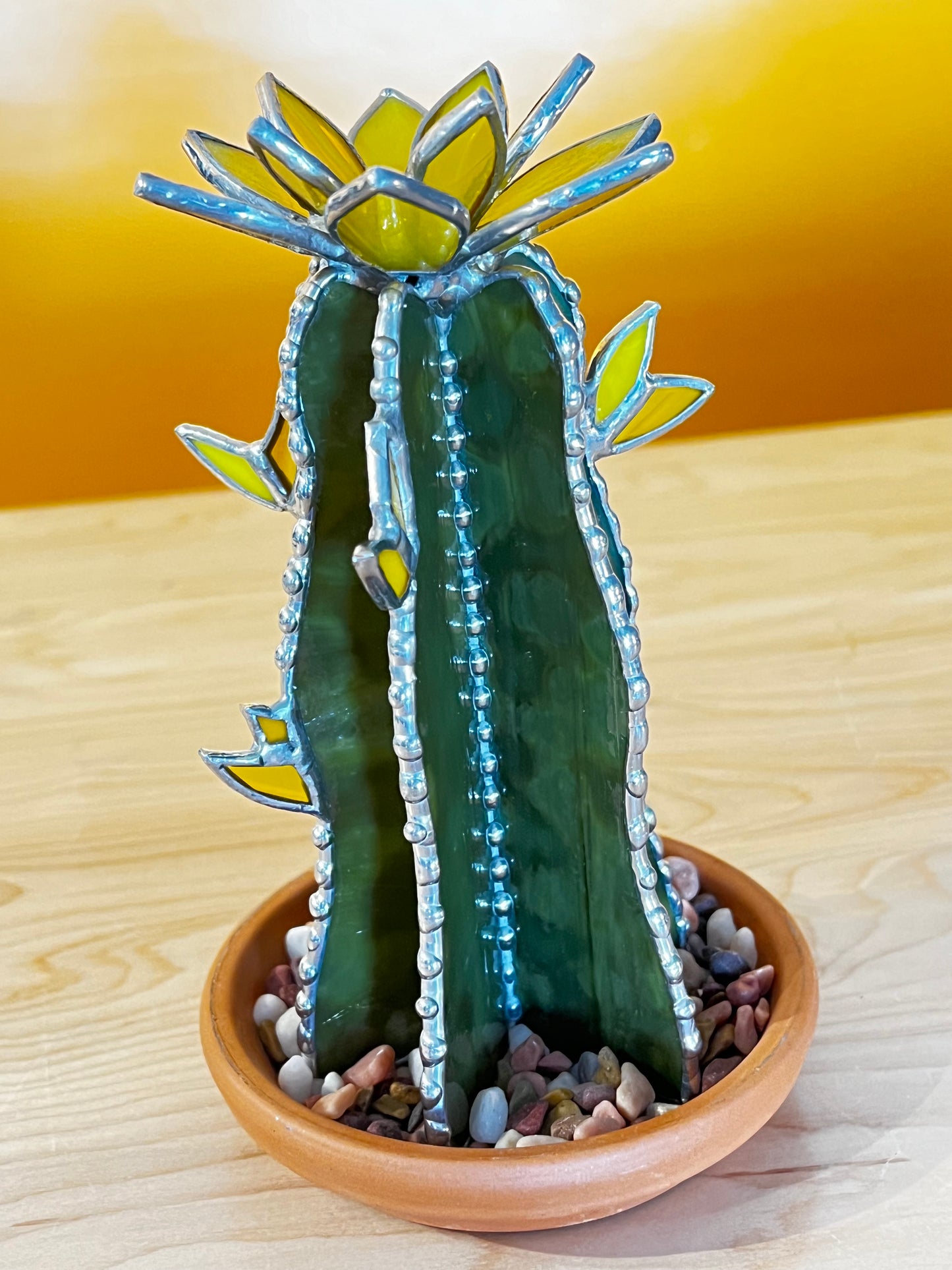 Tall Cactus with Yellow Flowers