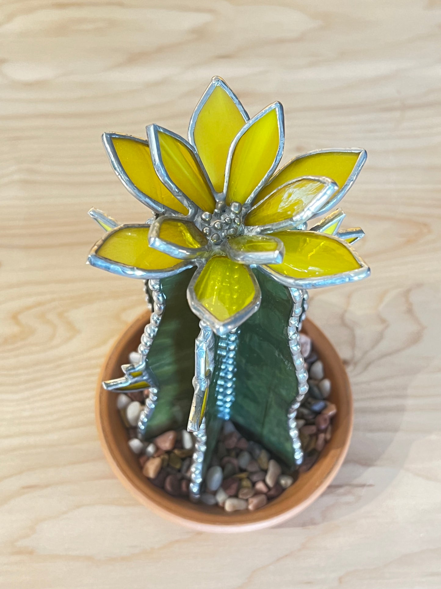 Tall Cactus with Yellow Flowers