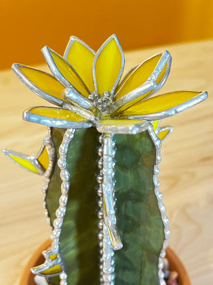 Tall Cactus with Yellow Flowers