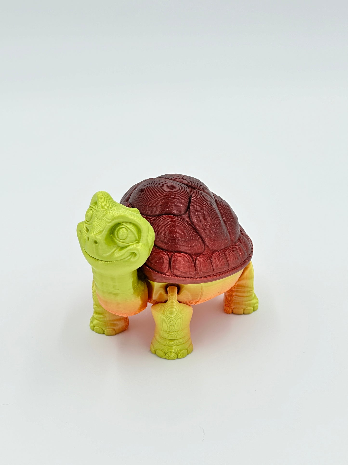 Tortoise with removable shell