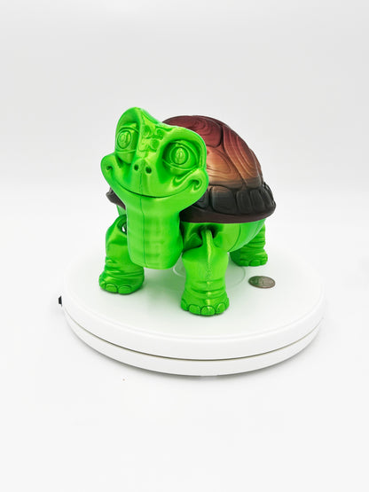 Tortoise with removable shell-large